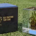 Manchester United coloca...